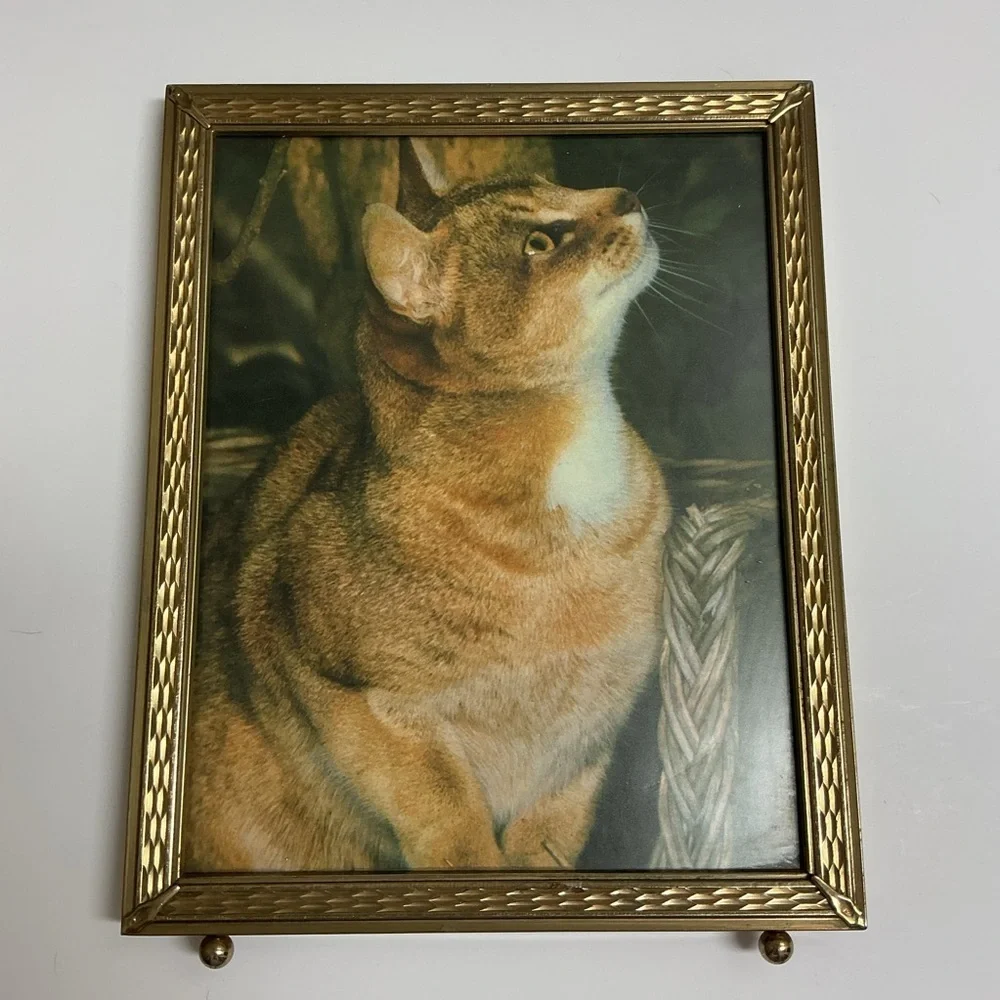 Vintage Gold Metal Picture Frame 8x10 Cat Print Standing Easel Ball Feet 60s MCM